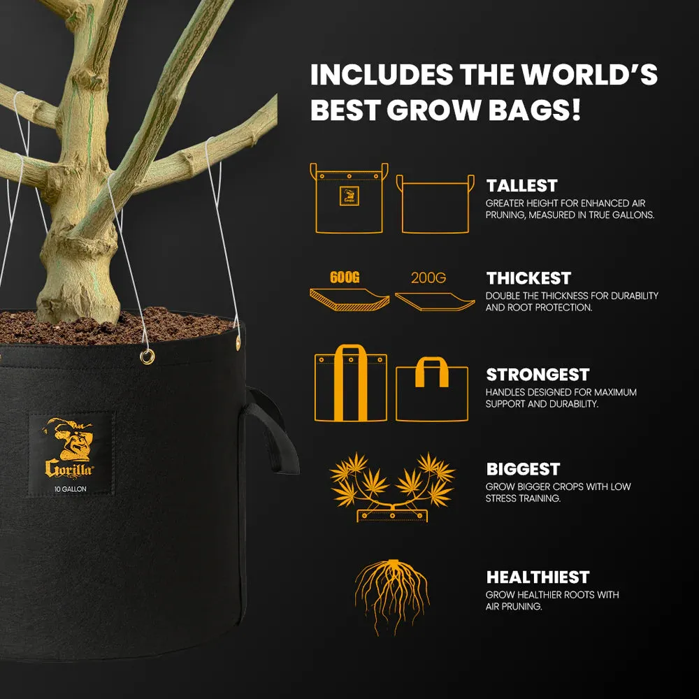 2x4 All New Grow Tent Kit - Soil