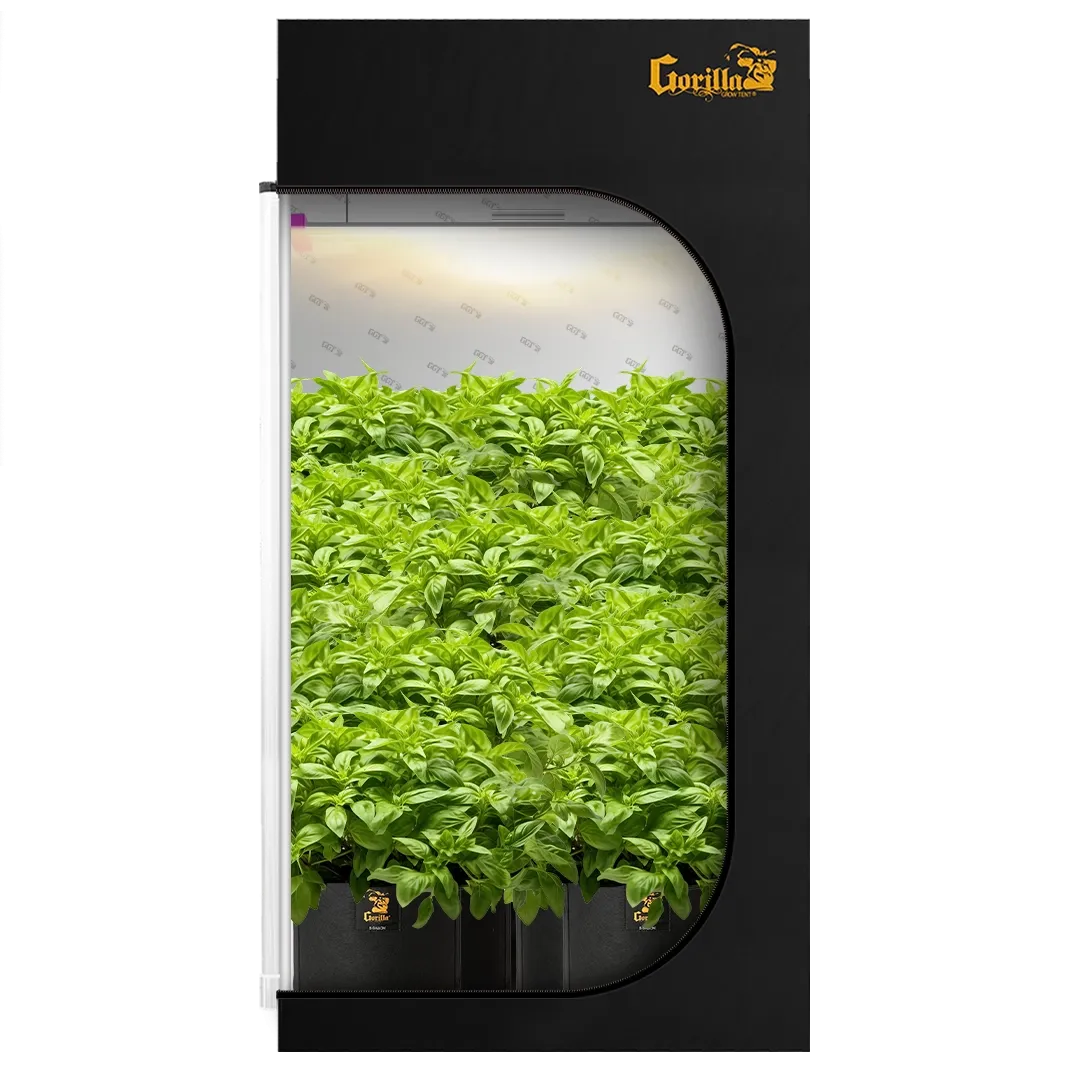 2x4 All New Grow Tent Kit - Soil