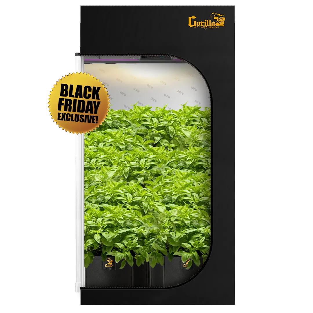 4x4 All New Grow Tent Kit - Soil with X2 V2